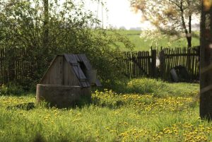 spring well services for Indiana residential well head lush landscape - spring well services for Indiana